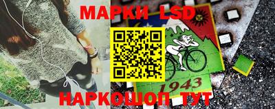 кокс Гатчина