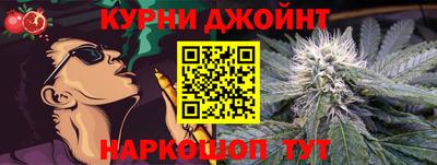 кокс Гатчина