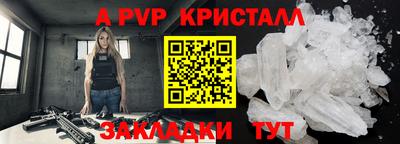 кокс Гатчина