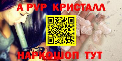 кокс Гатчина