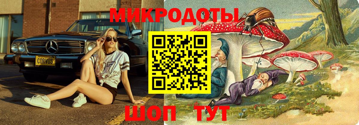 Псилоцибиновые грибы Magic Shrooms Муром